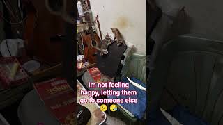 But Im Not A Selfish Person   catsloveisforever thankyouforthejoy Open Description