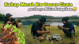 Download Lagu MUKBANG!! IKAN ORANGE ATAU IKAN GOLSOM DI CIRATA,HASIL JALA MP3