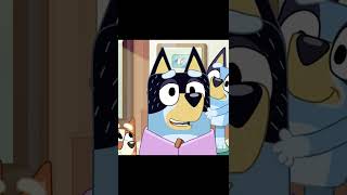 Bandit gets nits... and everyone PANICS!!!! #bluey #funny #shorts