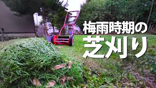 芝生管理 梅雨時期の芝刈りと目砂入れ Diy 13 Youtube