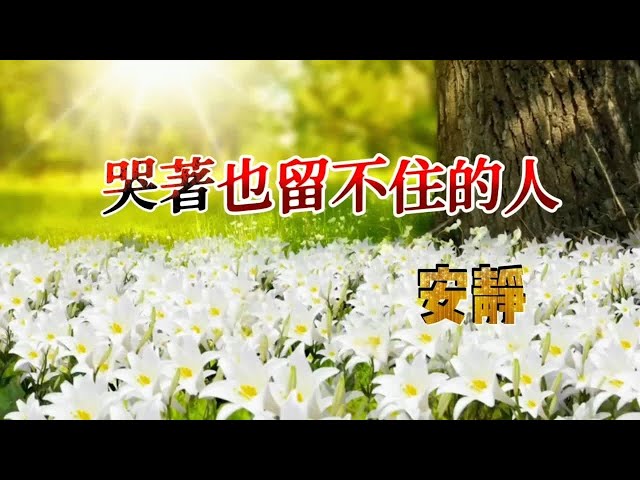 🦋安静 你是我《哭着也留不住的人》 class=