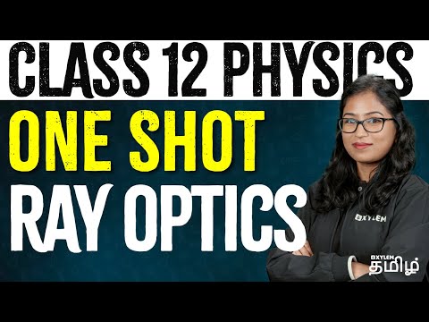 ONE SHOT :