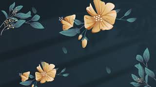 Hawaii Wedding Slideshow Background