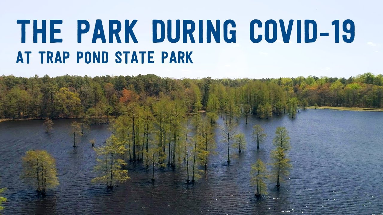 Trap Pond State Park During COVID-19 - YouTube