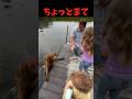 平和な釣り最中に
