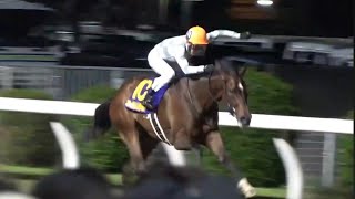 エンプレス杯　1着　オーサムリザルト号（武豊騎手）2024年5月8日（水）川崎競馬場