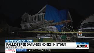 Tree crashes into Bluffton home during powerful storms