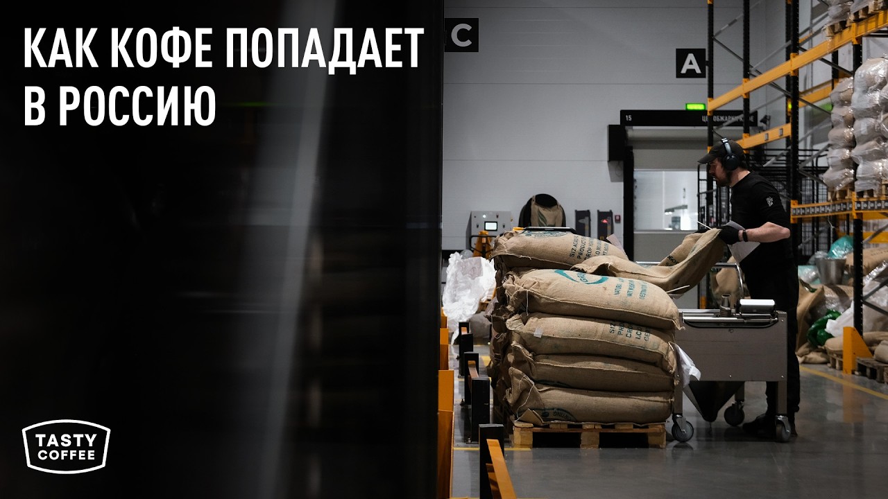 Как кофе едет в Россию и причём здесь пираты? Все секреты логистики зерна от Tasty Coffee