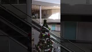 The world’s loneliest Santa Claus 🎅🏻😢