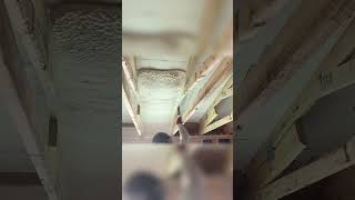 Spray foam can reach spaces other insulation cannot