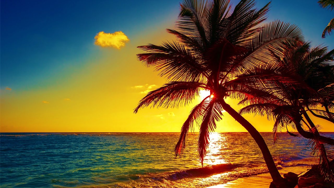 Beautiful Relaxing Peaceful Music Calm Music 247 Tropical Shores By Tim Janis
