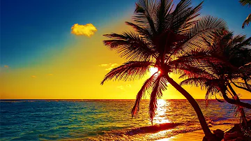 Beautiful Relaxing Peaceful Music, Calm Music 24/7, "Tropical Shores" By Tim Janis