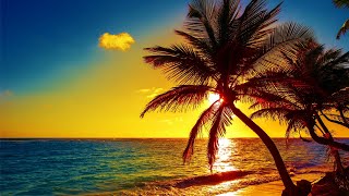 Beautiful Relaxing Peaceful Music, Calm Music 24/7, "Tropical Shores" By Tim Janis screenshot 4