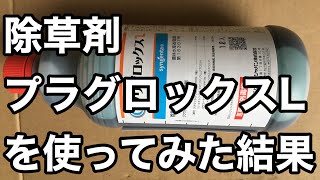 除草剤プリグロックスLを使ってみた結果。