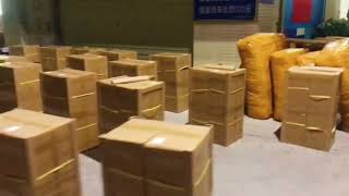 China Forwarder Excellence: Elevating Your Shipping Experience