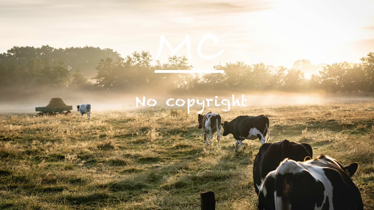 Bluegrass Boogie - The Undertowns