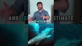 The Shark That Can Live 400 Years!
