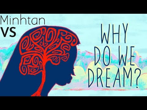 Video: Tại Sao Chúng Ta Mơ