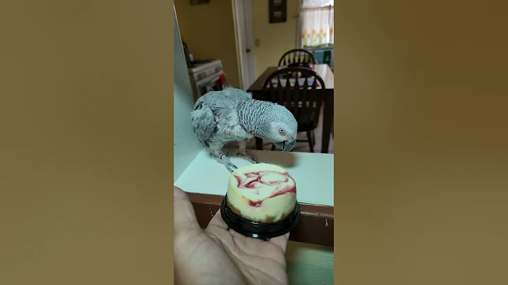 Sharing My Birthday  Cheesecake [Yummy Desert]