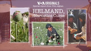 Helmand, The Narcotics Curse | Changes in Afghanistan's Largest Opium-Producing Region
