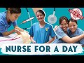 Hired or Fired: Becoming A Nurse For A Day