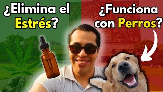 Mi experiencia probando CBD | Opinión sobre los Efectos y Consecuencias del CBD