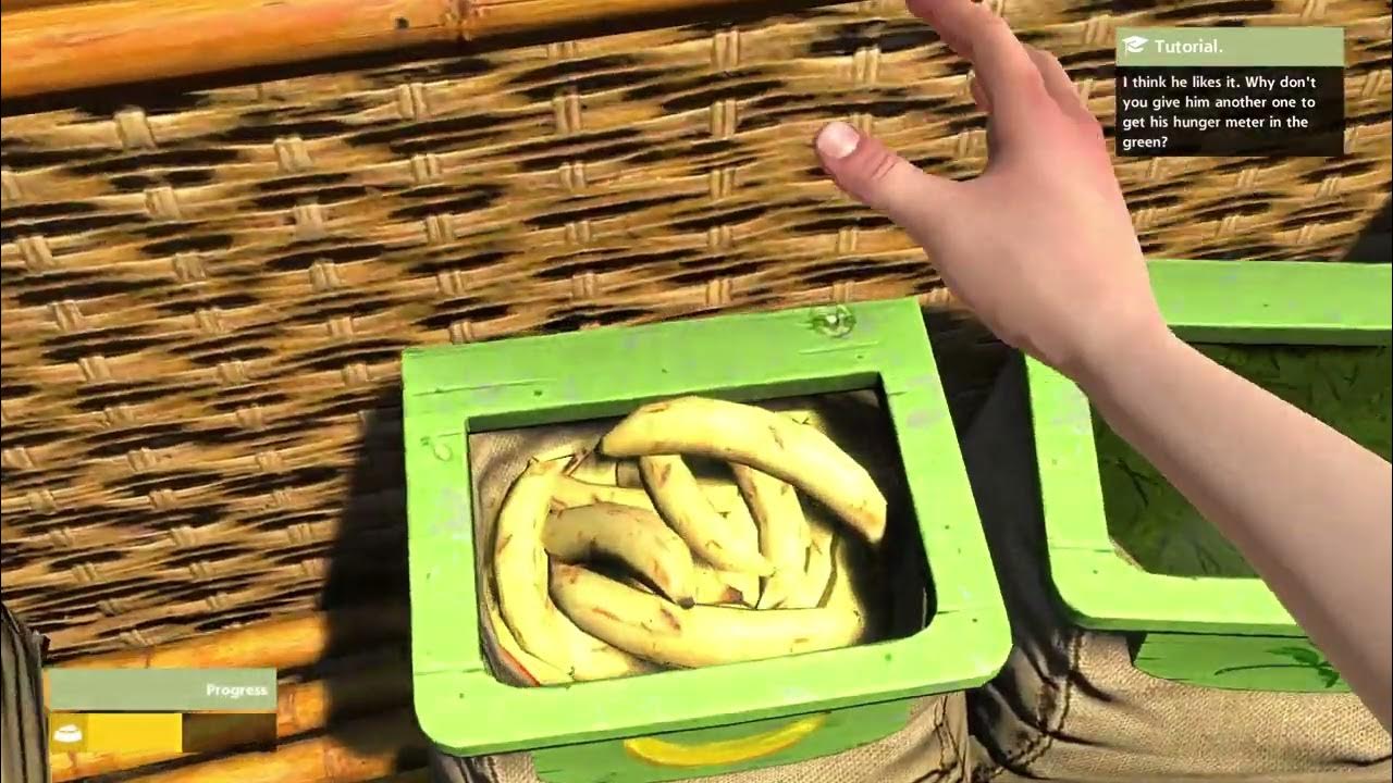 Zoo Tycoon Feeding an Elephant YouTube