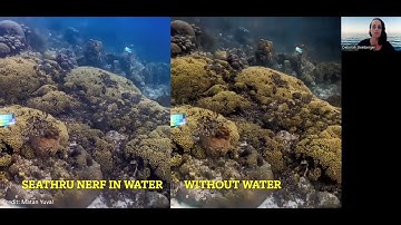 SeaThru-NeRF: Neural Radiance Fields in Scattering Media (CVPR 2023)