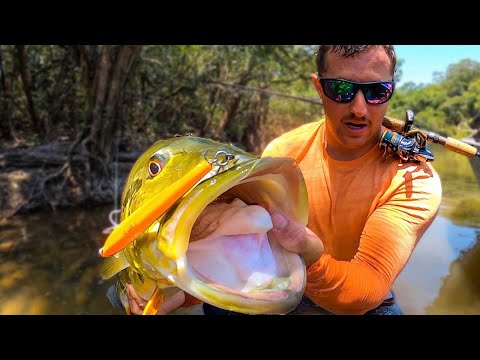 Video: Best Places for Sports Fishing sa South America