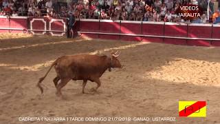 CADREITA  (NAVARRA)  TARDE VACAS EN LA PLAZA  (DOMINGO 21 JULIO 2019)  USTARROZ by VillarTauro 2,363 views 4 years ago 33 minutes