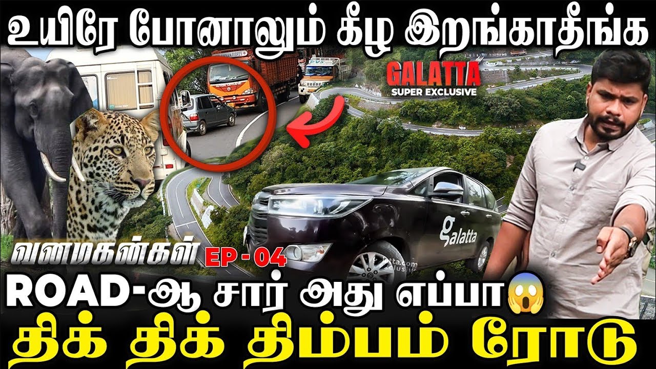 Google Map கூட வேலை செய்யாத தமிழகத்தின் காட்டு ரோடு😱 திம்பம் ரோட்டின் திகில் பின்ணனி Live Visit