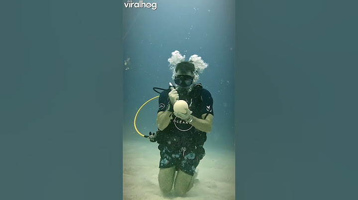 Diver Cracks Open Ostrich Egg Underwater #fails #dog #unexpectedfails