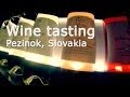 Wine tasting - Pezinok [Slovakia]