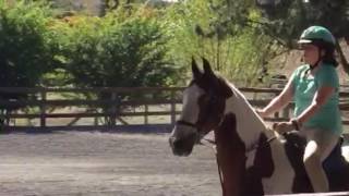 Monarch Stables 19/5/16