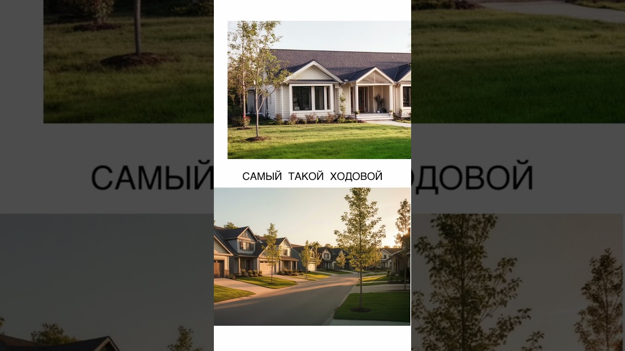 Жизнь вне города