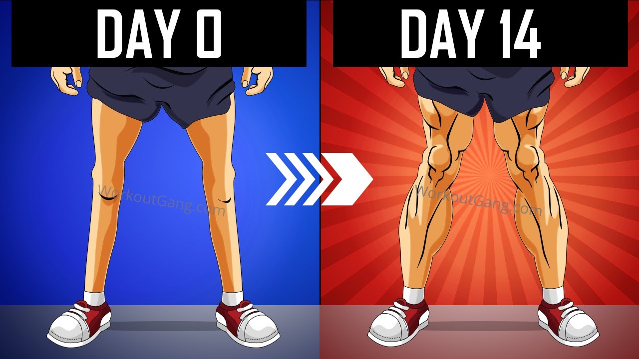 How to Get Stronger Legs with These Simple Exercises - wide 7