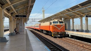 2024/08/07  516次自動門莒光號潮州站進站待發  本務E201電力機車