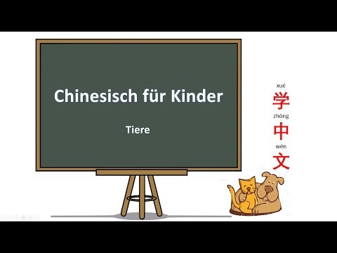 Video: Was sind die chinesischen Tiere für die Monate?