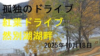 【いきなりのご購入はお控えください】Forest306『星屑の還る場所』 Autumn leaves, Ogigahara Observatory, Lake Shikaribetsu] A