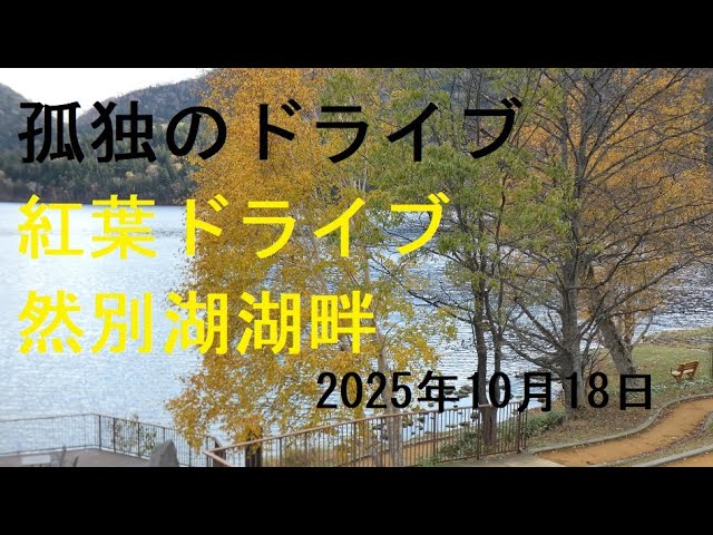 龍神レイキ AUTUMN EQUINOX LIVE DVD】龍神 AUTUMN EQUINOX LIVE