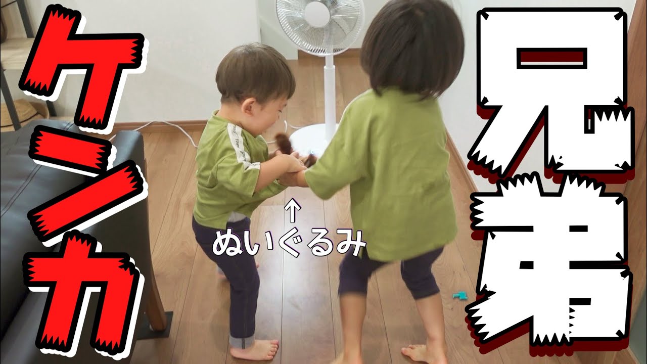 兄弟喧嘩 強すぎる姉 弱すぎる弟 Youtube