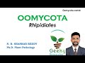 Lec 24. Oomycota # Rhipidiales | Mycology | Plant Pathology | B.Sc/M.Sc Agriculture