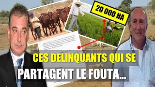 Fouta Tampi ! 20 000 Hectares Lafa Ay Bandits Yu Makk Di Saax Saxéé