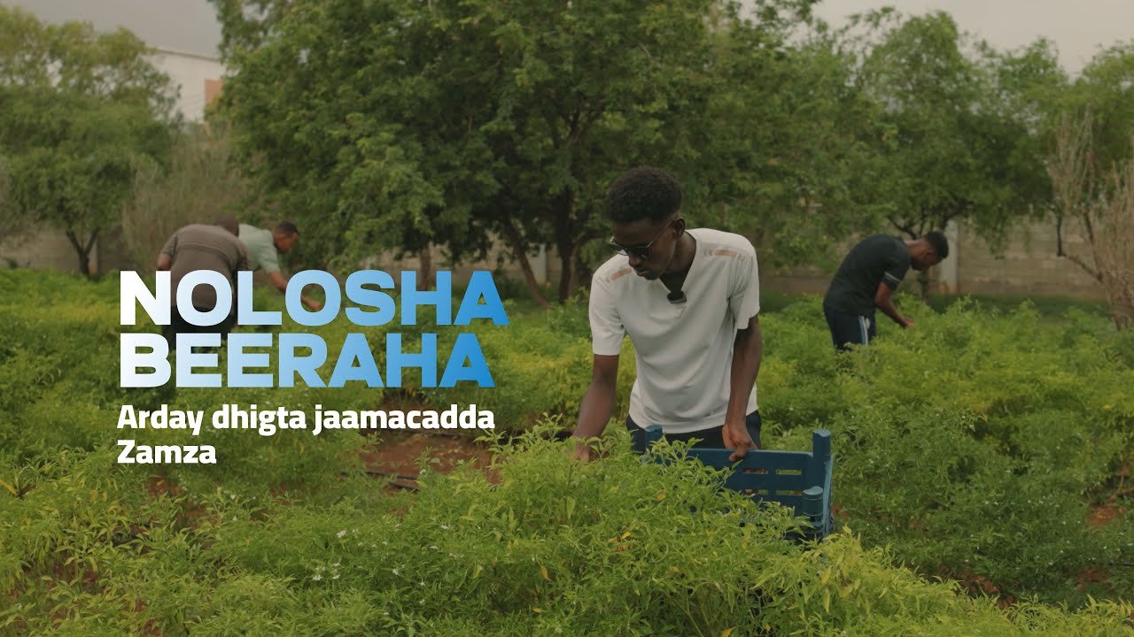 A day in the Life of an Agriculture Student at Zamzam University - YouTube