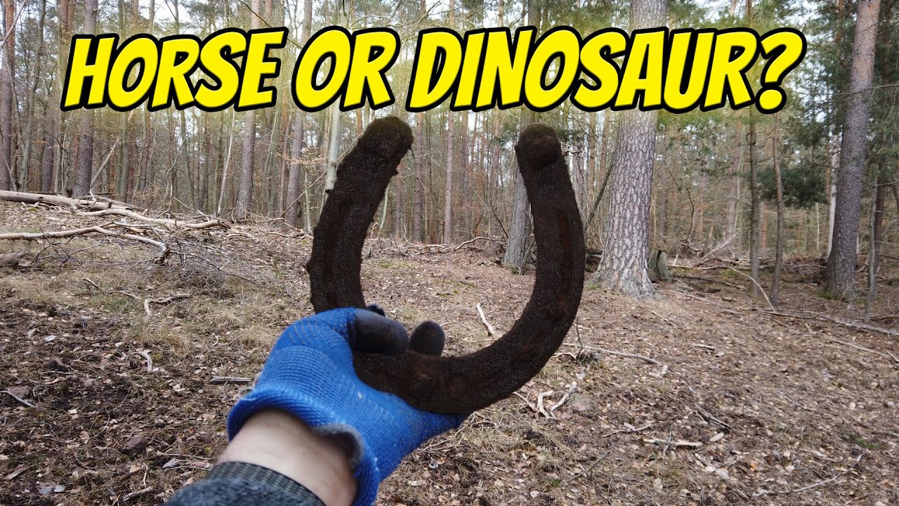 OMG, Is This Real?! Metal Detecting With The Worlds Biggest Horseshoe