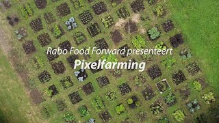 Pixelfarm Rabo Food Forward