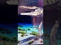 Accurate Mosasaurus Sounds