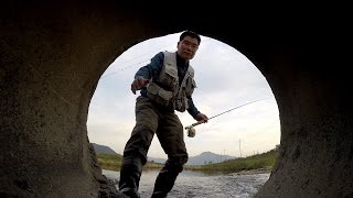 Fly Fishing - Episode 8 - Korea Piscivorous Chub