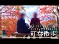 【香嵐渓】愛知の紅葉スポットへ【vlog】
