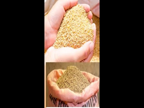 NYAATA LUKKUU QOPHEESSUU